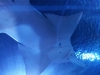20130411_183857